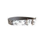 Hundhalsband - XS, S, M - Akvarellbär