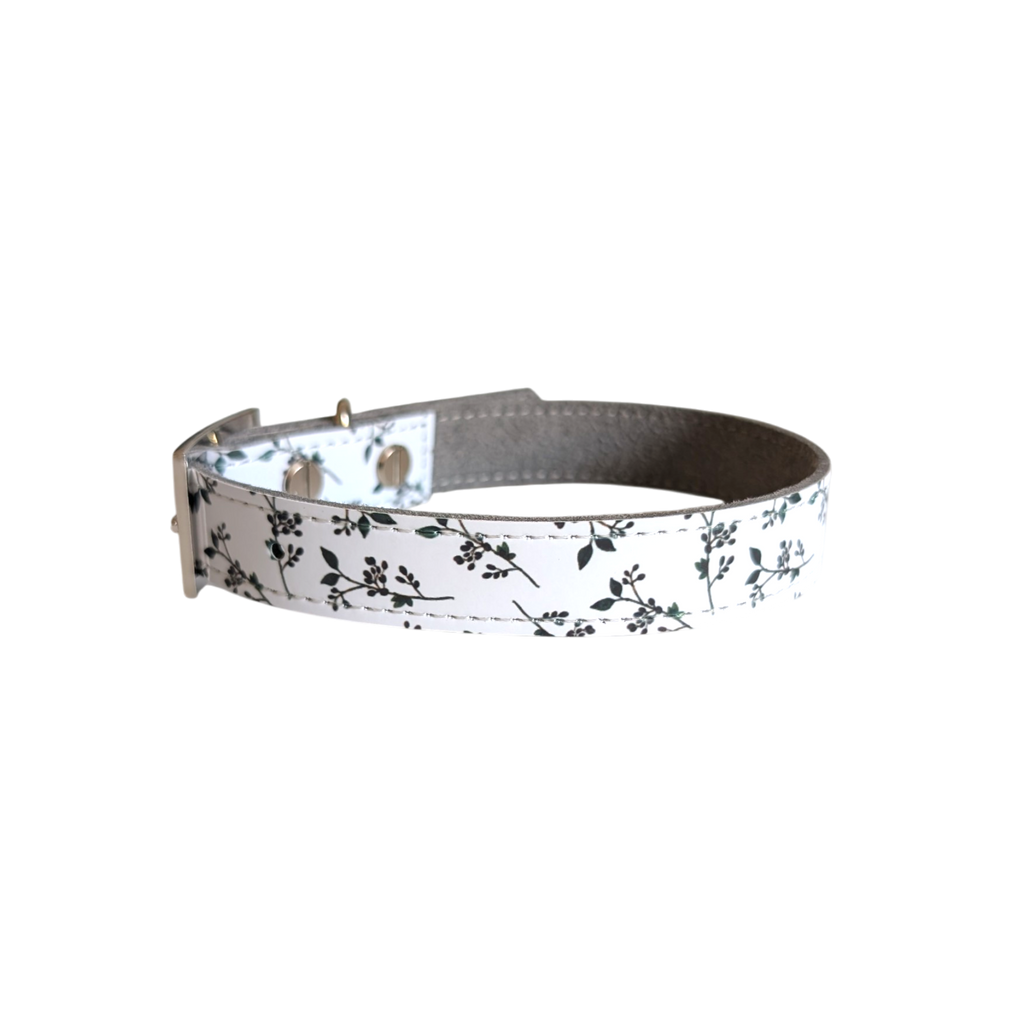 Hundhalsband - XS, S, M - Akvarellbär