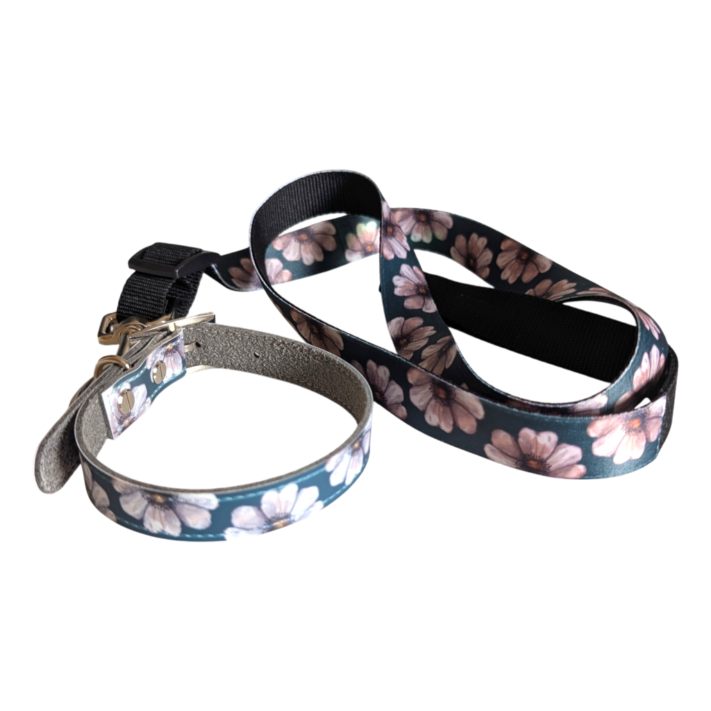 Hundhalsband - XS, S, M - Anemon