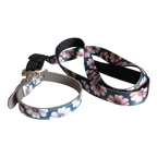 Hundhalsband - XS, S, M - Anemon