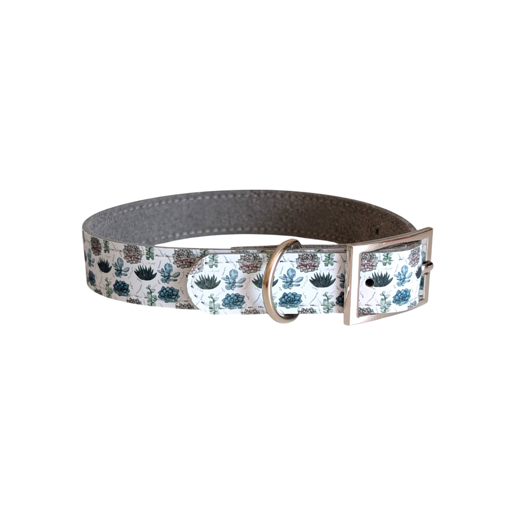 Hundhalsband  - XS, S, M - Suckulenter