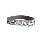 Hundhalsband  - XS, S, M - Suckulenter