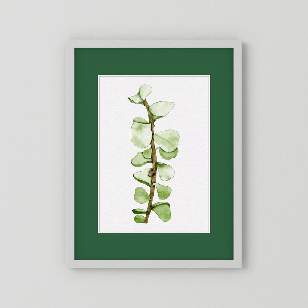 Watercolor Tall Succulent