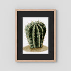 Watercolor Spiky Cactus