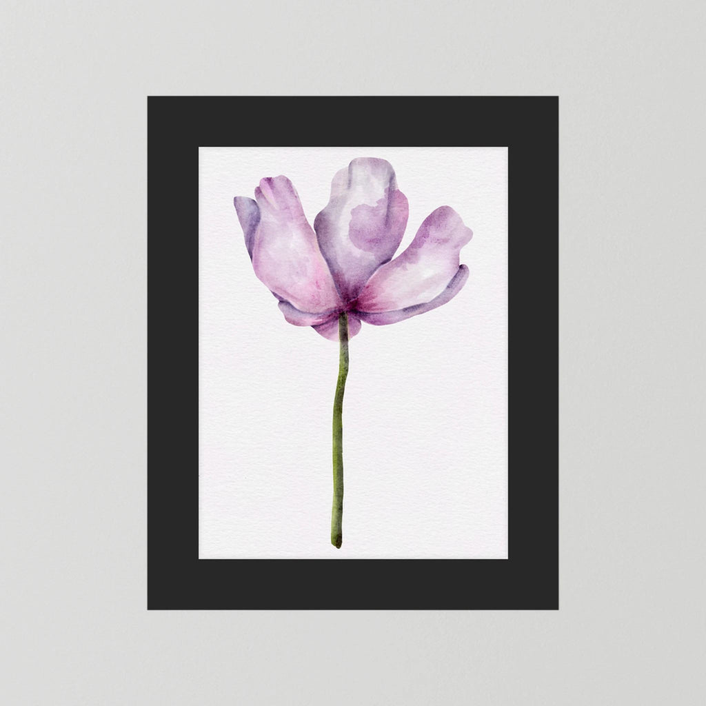 Watercolor Anemone 