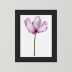 Watercolor Anemone 