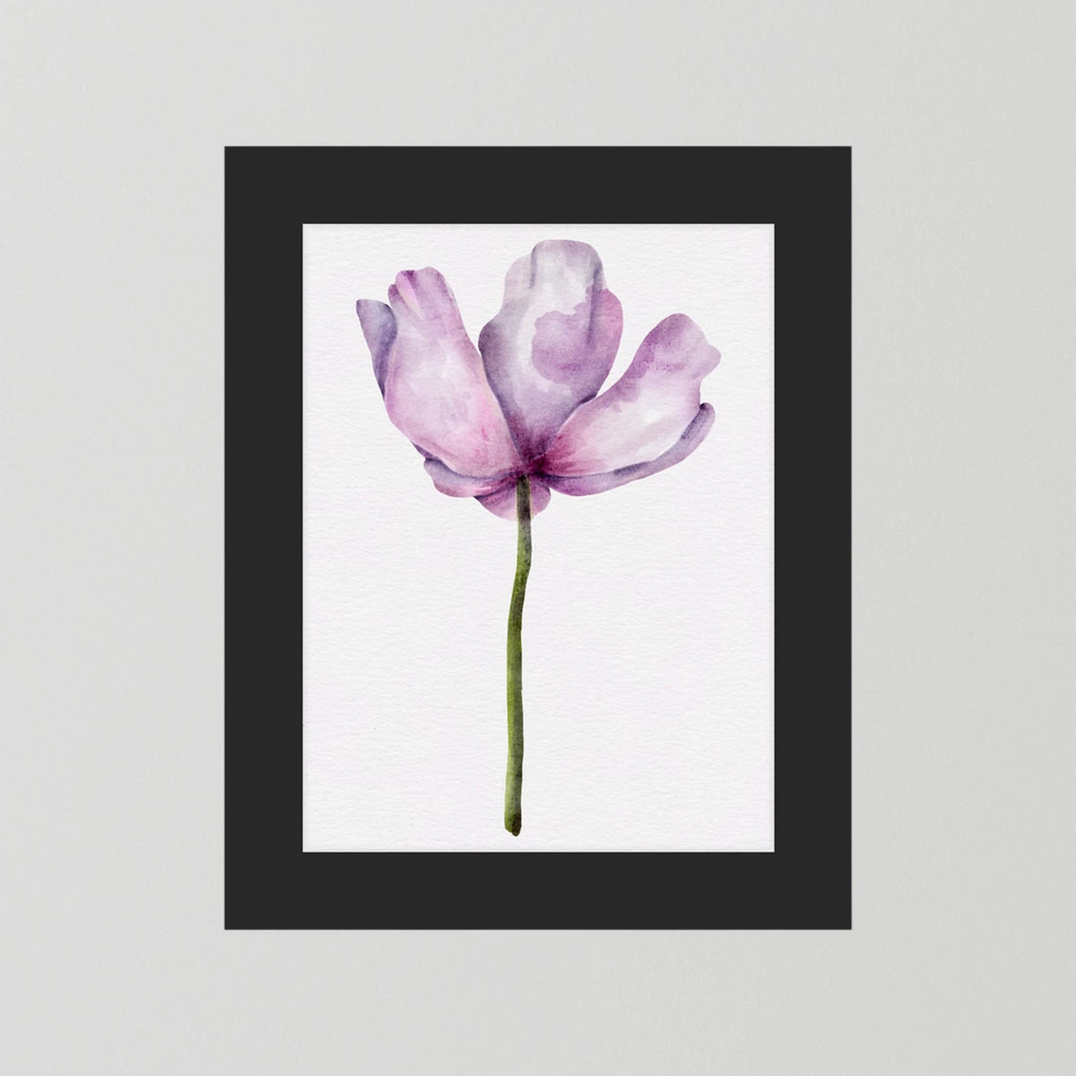 Watercolor Anemone 