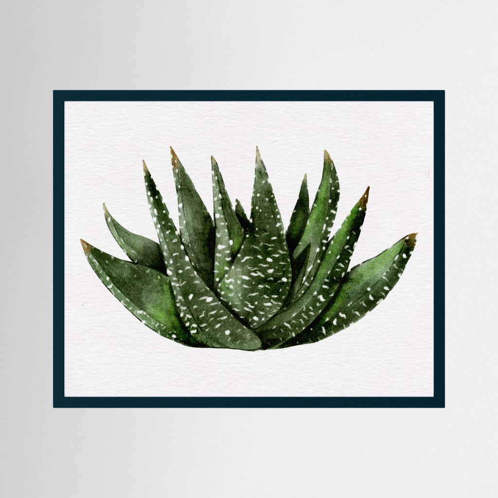 Watercolor Spiky Succulent