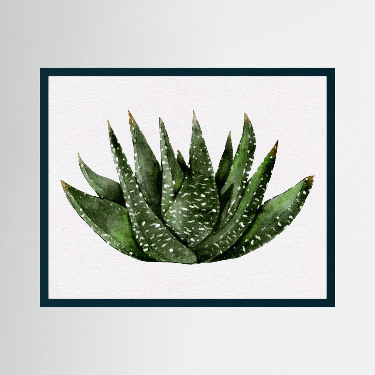 Watercolor Spiky Succulent
