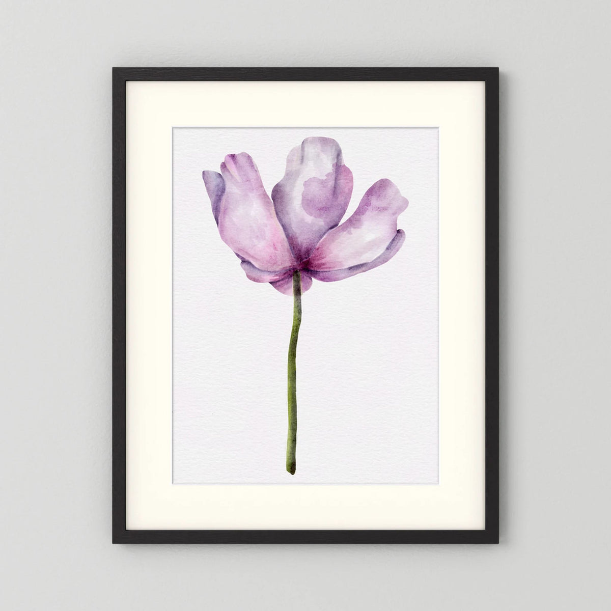 Watercolor Anemone 