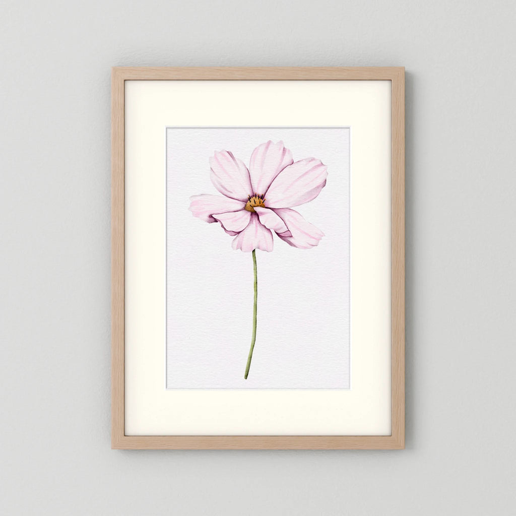 Watercolor Cosmos 