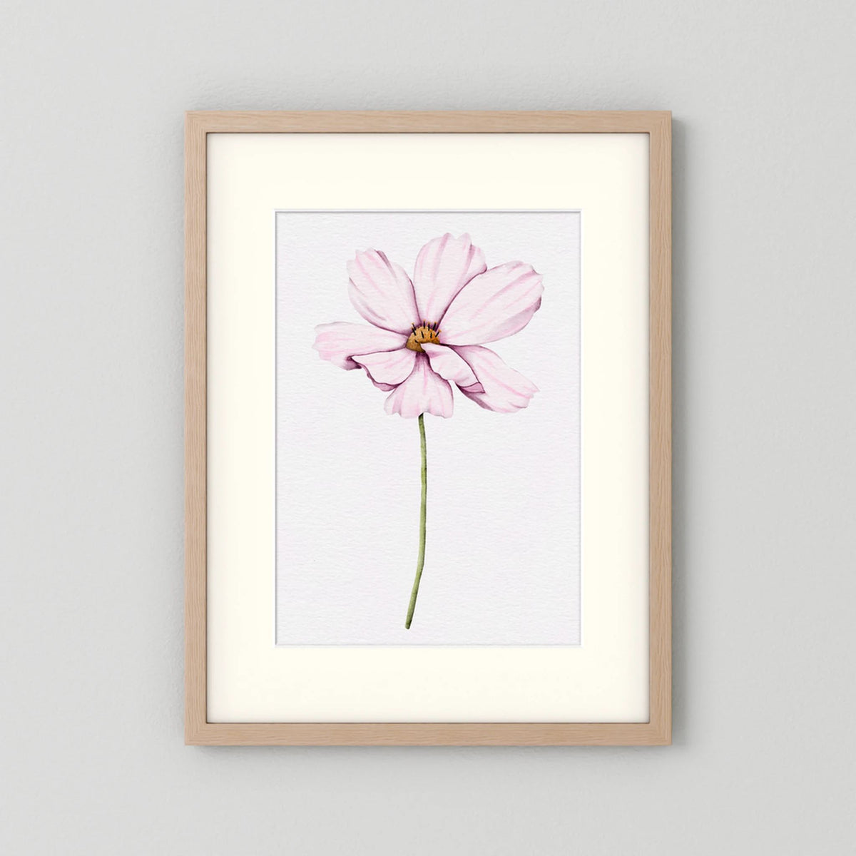 Watercolor Cosmos 