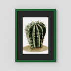 Watercolor Spiky Cactus