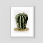 Watercolor Spiky Cactus