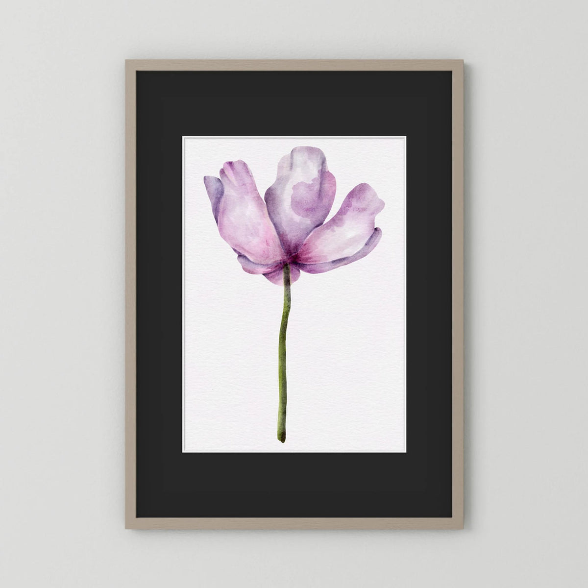Watercolor Anemone 