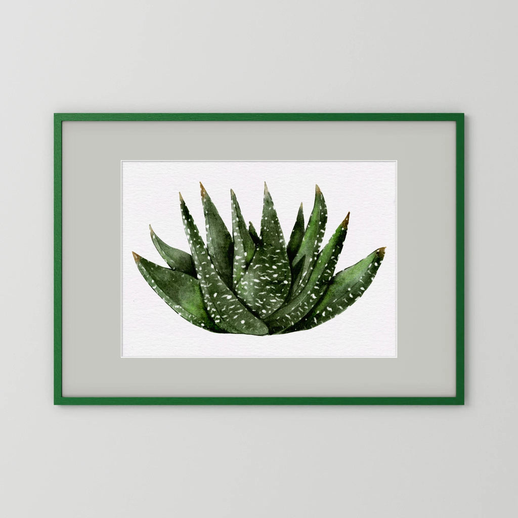 Watercolor Spiky Succulent