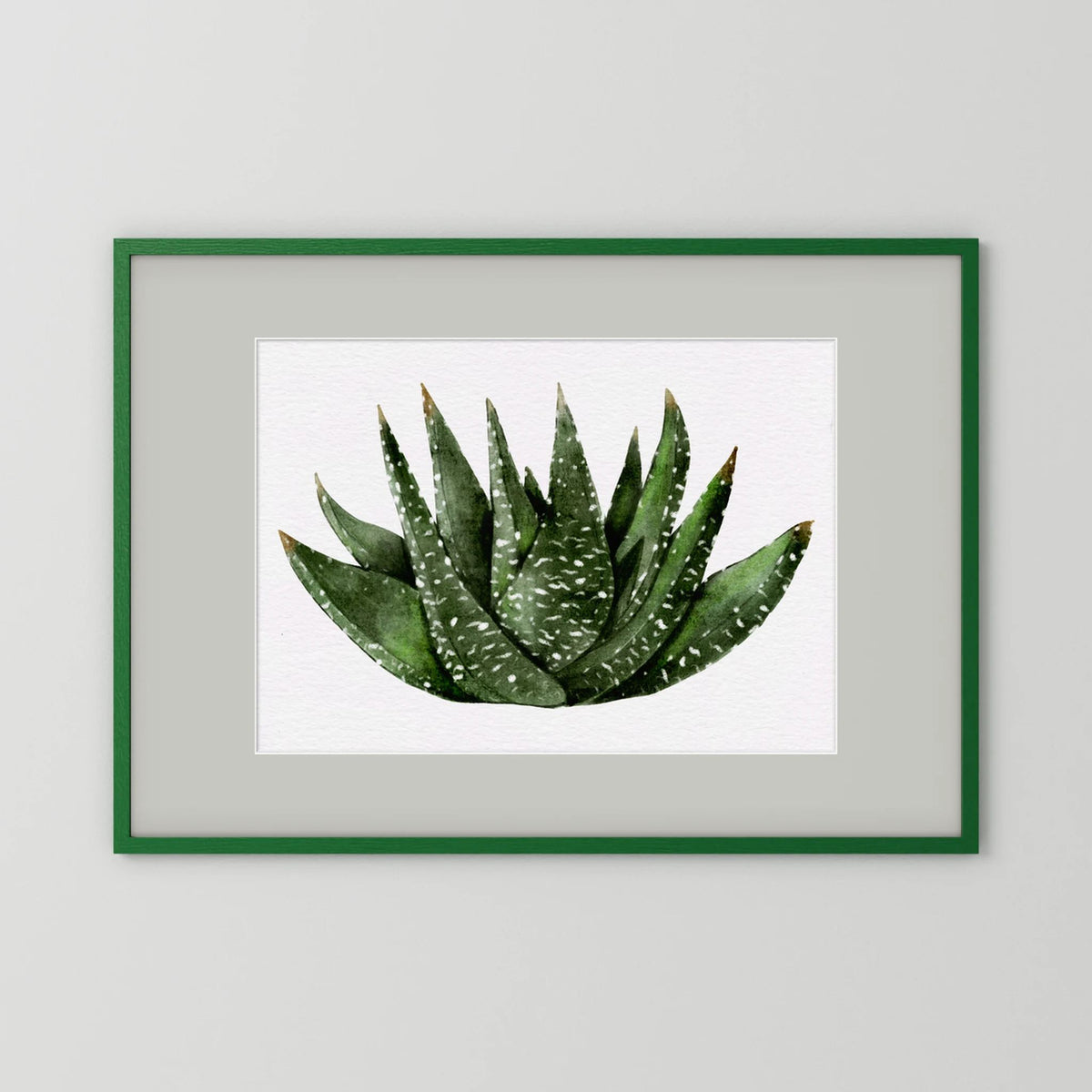 Watercolor Spiky Succulent