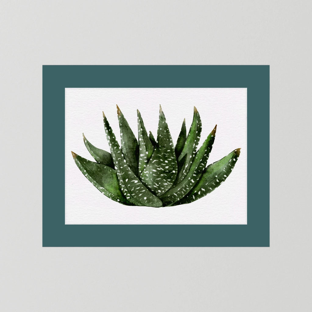 Watercolor Spiky Succulent