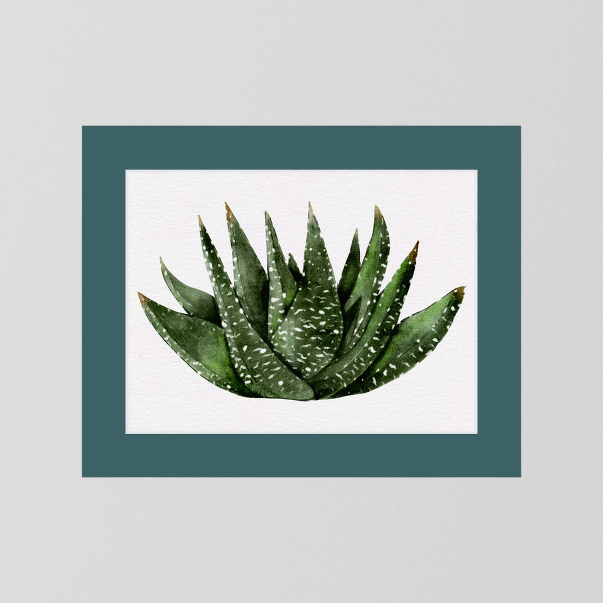 Watercolor Spiky Succulent