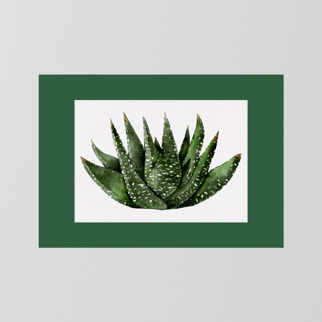 Watercolor Spiky Succulent