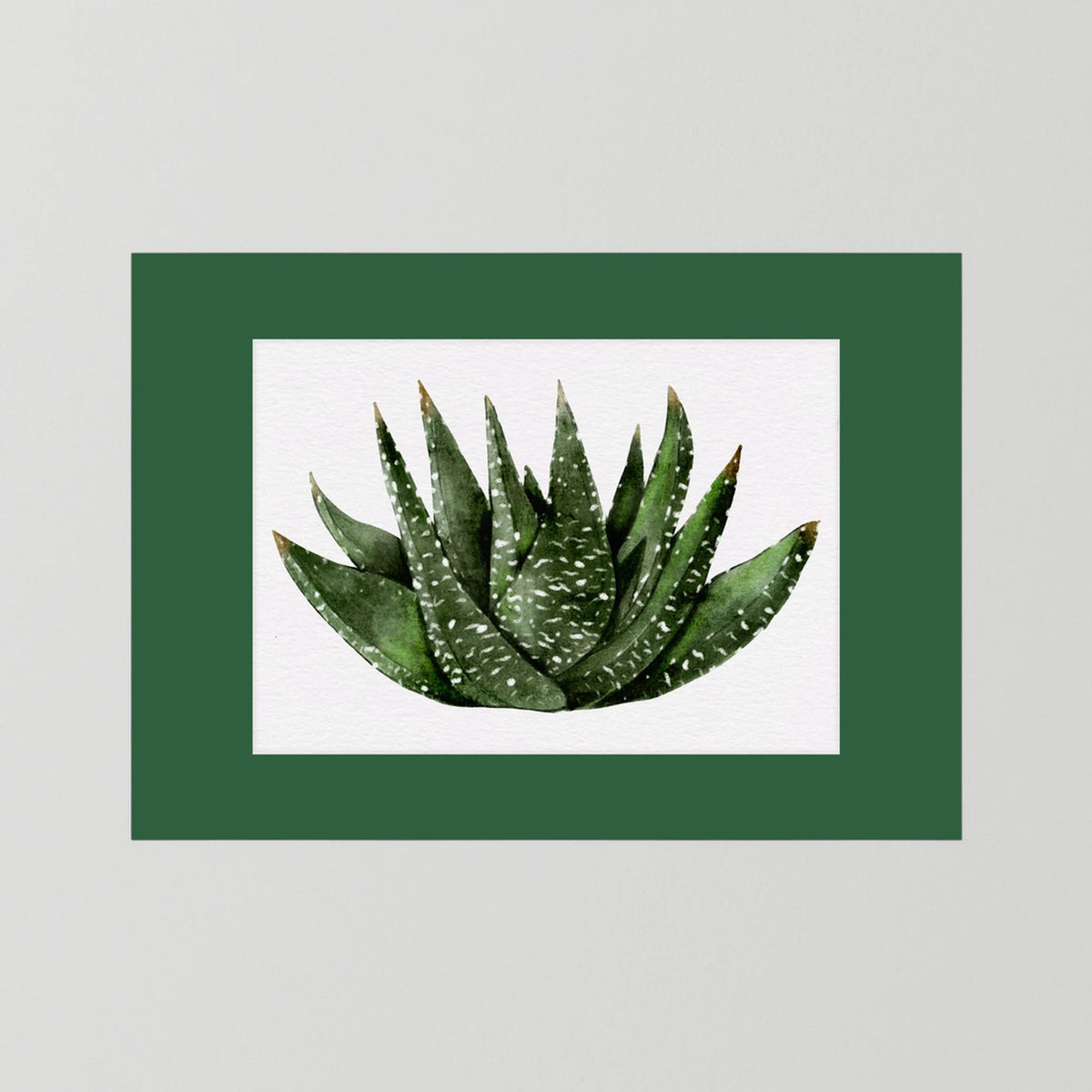 Watercolor Spiky Succulent