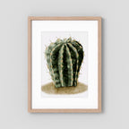 Watercolor Spiky Cactus