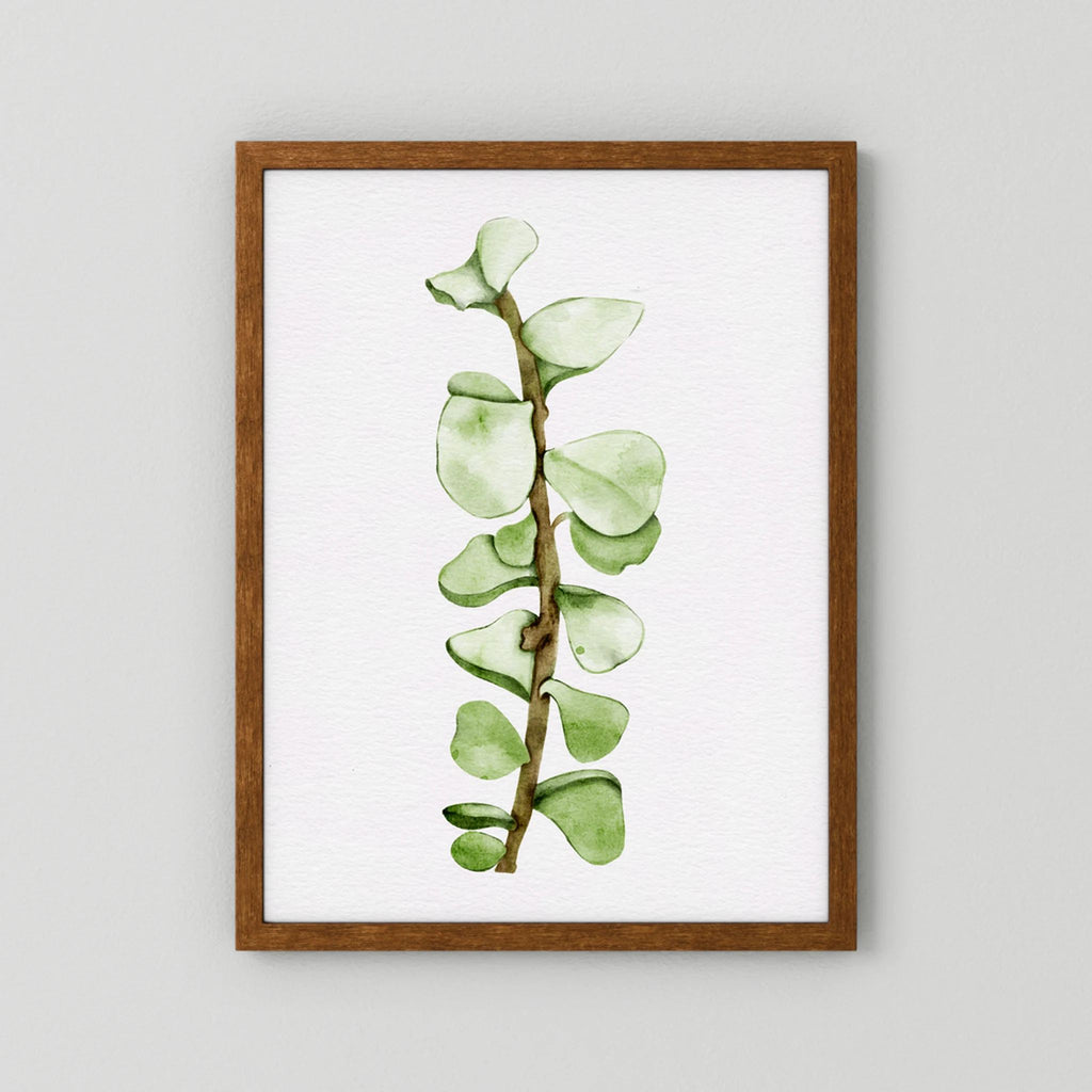 Watercolor Tall Succulent
