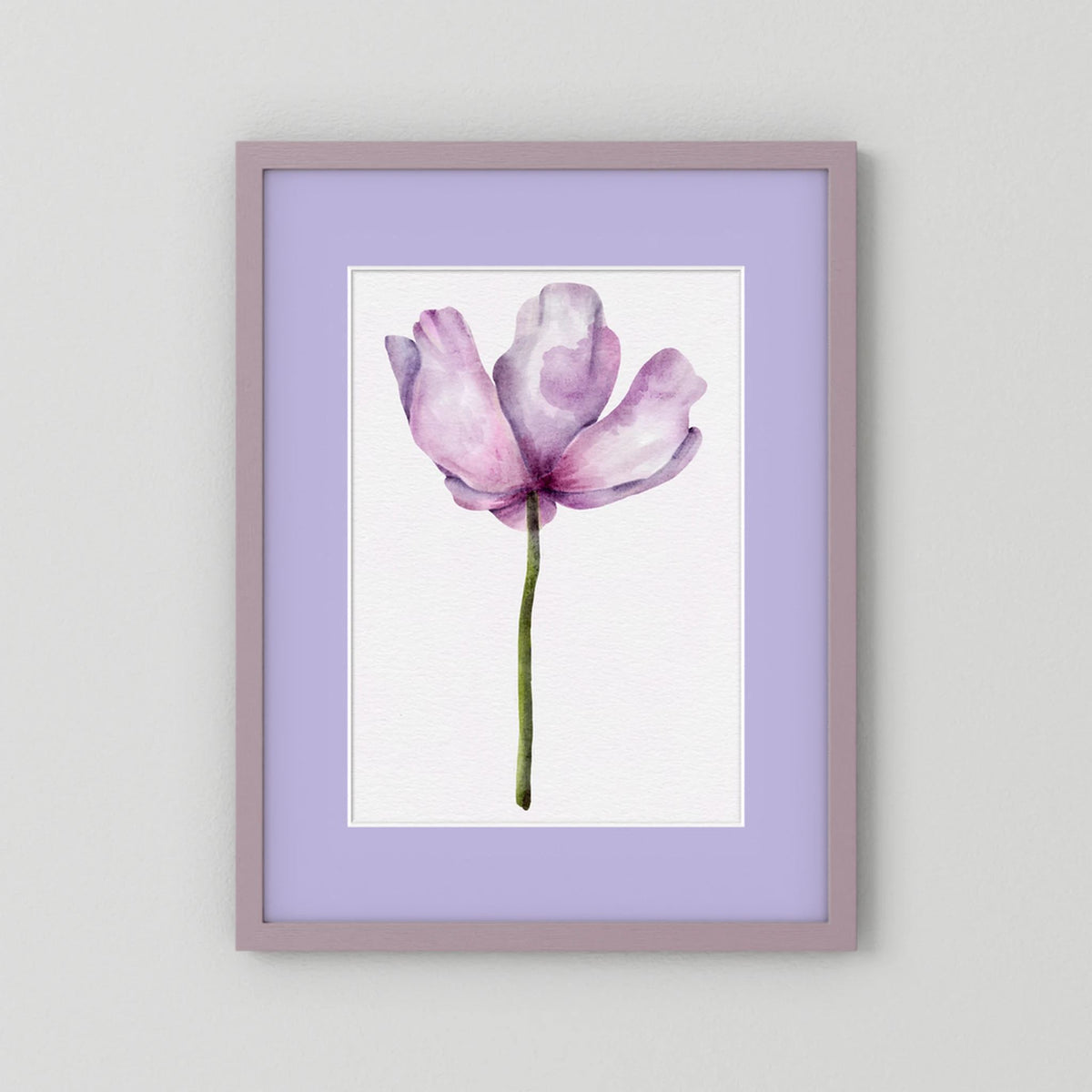 Watercolor Anemone 