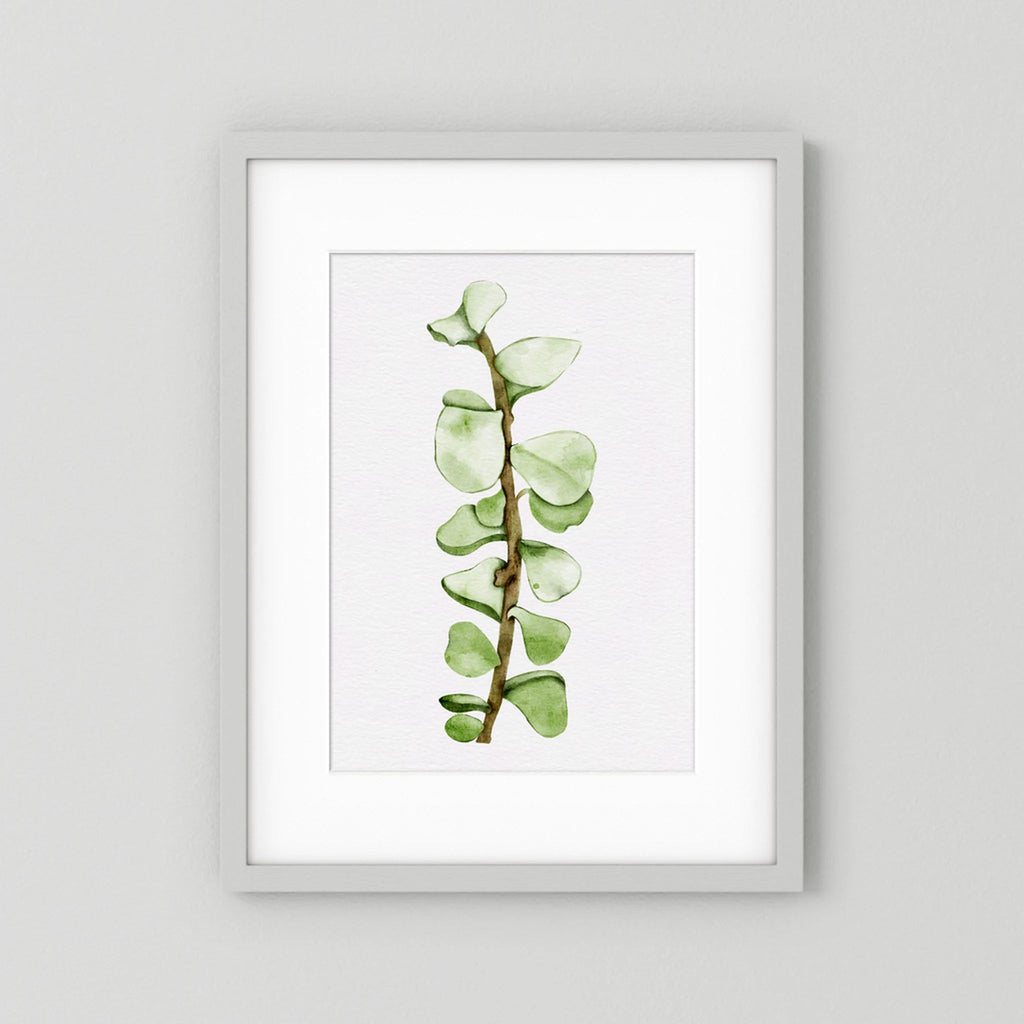 Watercolor Tall Succulent