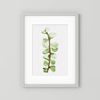 Watercolor Tall Succulent
