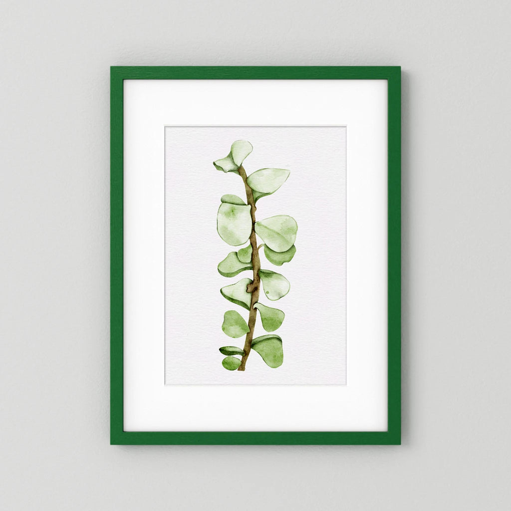 Watercolor Tall Succulent