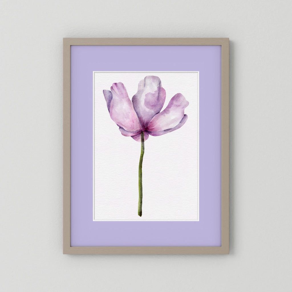 Watercolor Anemone 