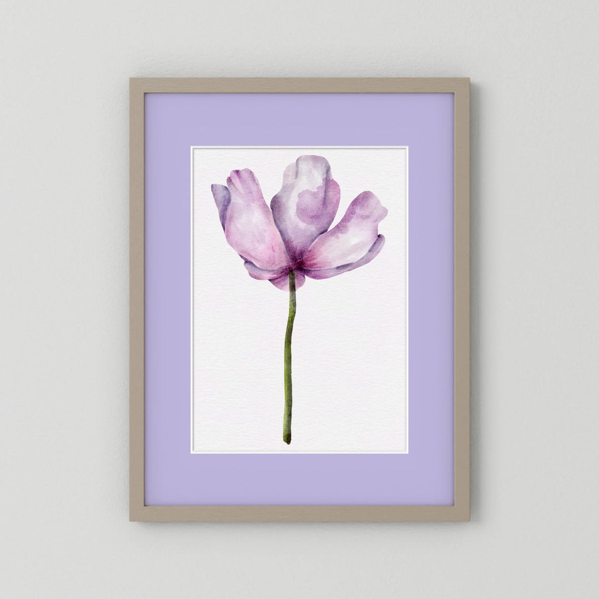 Watercolor Anemone 
