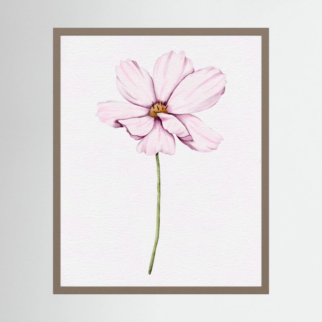Watercolor Cosmos 
