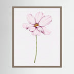 Watercolor Cosmos 