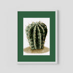Watercolor Spiky Cactus