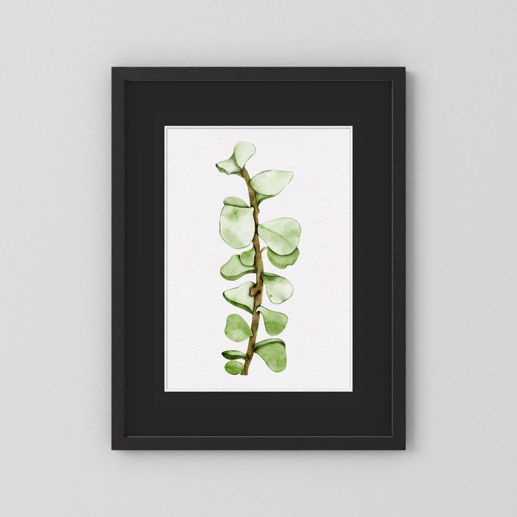 Watercolor Tall Succulent
