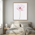 Watercolor Cosmos 