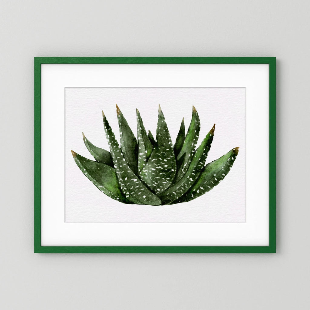 Watercolor Spiky Succulent