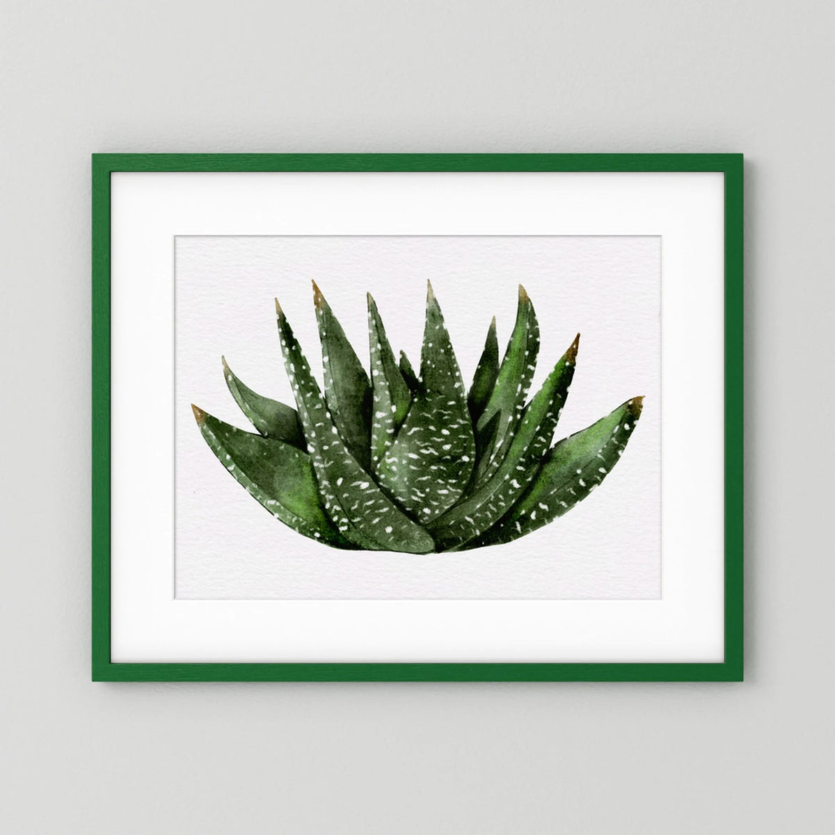 Watercolor Spiky Succulent