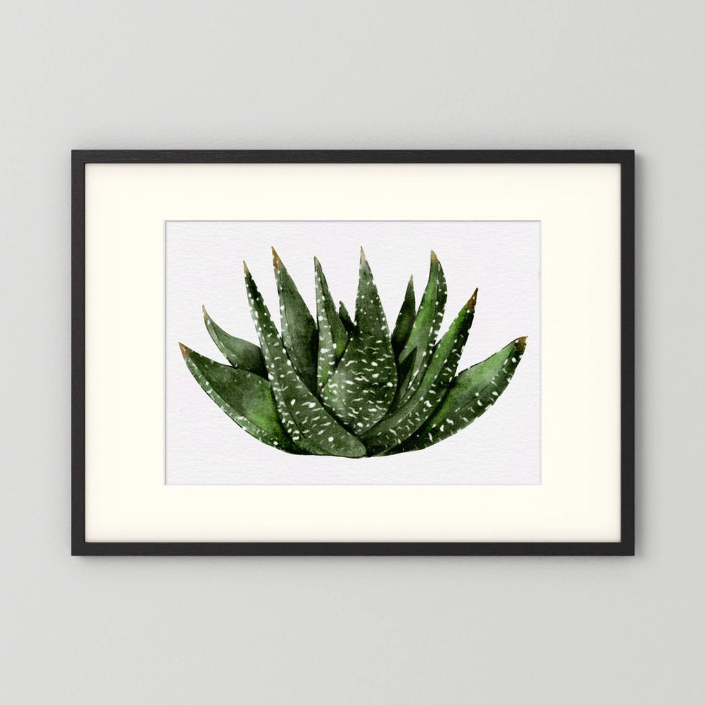 Watercolor Spiky Succulent