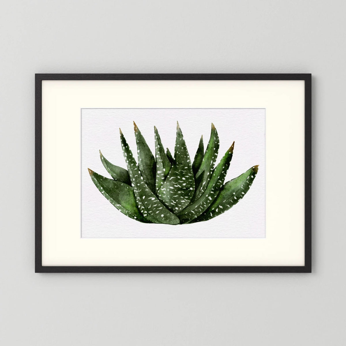 Watercolor Spiky Succulent