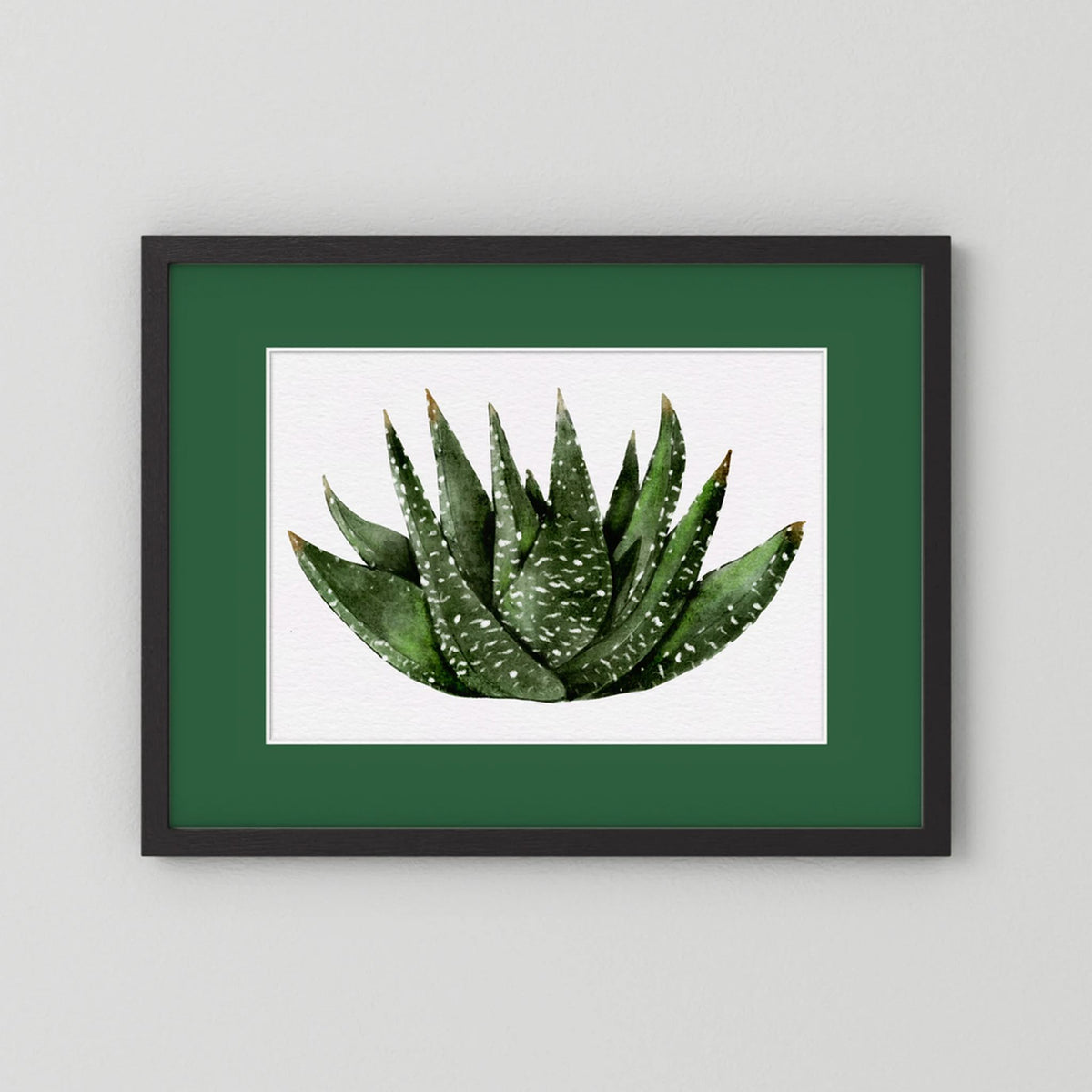 Watercolor Spiky Succulent