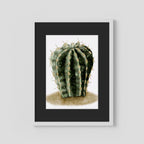 Watercolor Spiky Cactus