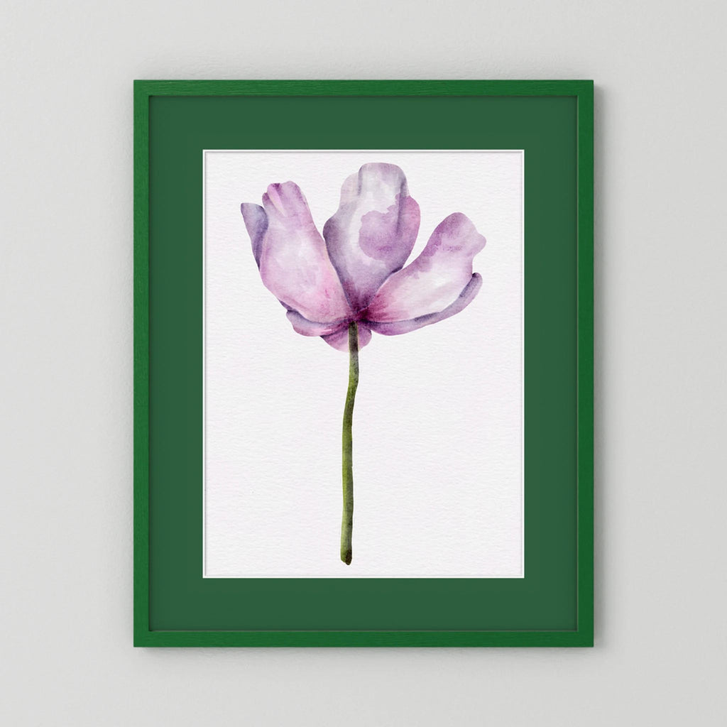 Watercolor Anemone 
