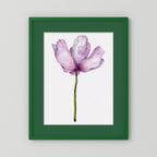 Watercolor Anemone 