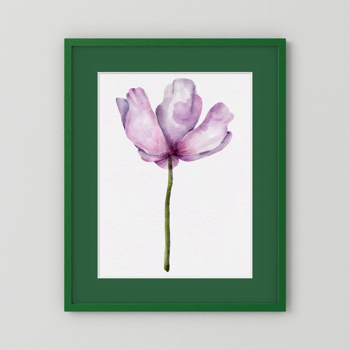 Watercolor Anemone 