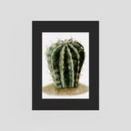Watercolor Spiky Cactus