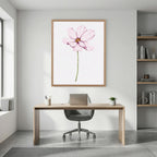 Watercolor Cosmos 