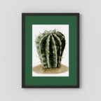 Watercolor Spiky Cactus